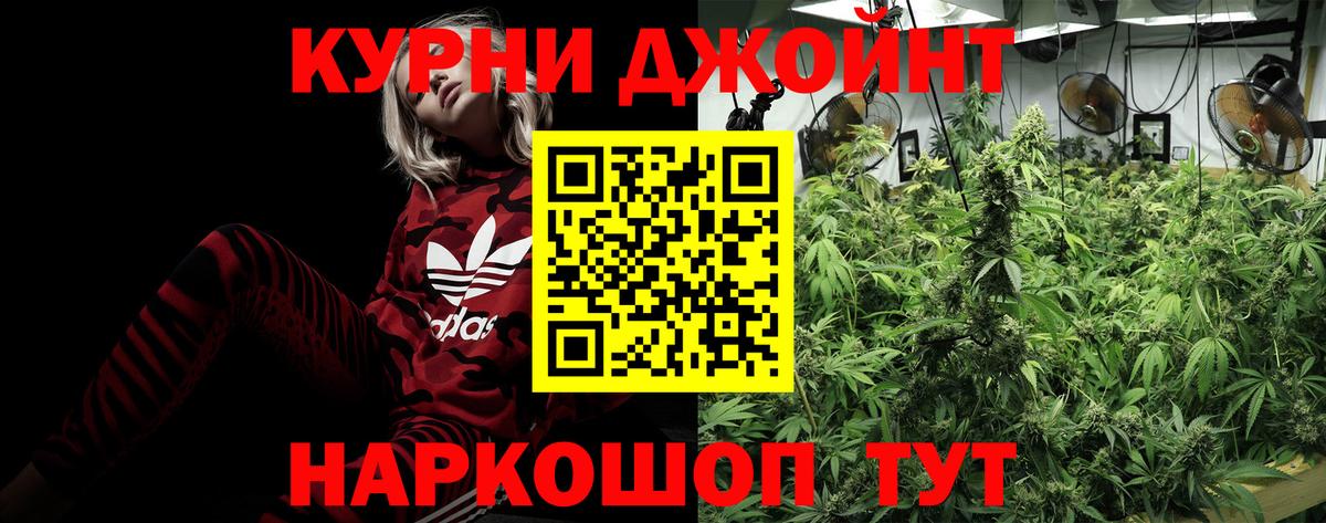 Каннабис планчик Брянск